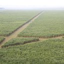 ���� ����, �����-��������� - ��������� 20 �������� 2013 � ������ ���� ����������