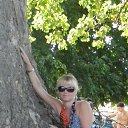  Vasilisa,  -  23  2013    