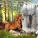 ���� ������, ������������ - ��������� 10 ������� 2013 � ������ ���� ����������