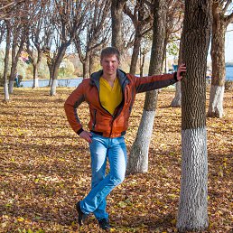 ������, �����, 40 ���