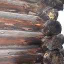 ���� Svann, ���������, 71 ��� - ��������� 18 �������� 2013 � ������ �������� �����