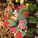 ���� Tim, ��������� - ��������� 25 ������ 2013 � ������ �������