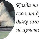 ���� �����, �����, 57 ��� - ��������� 28 �������� 2013 � ������ ���� ����������