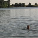 ���� �������, ����� - ��������� 17 ������ 2014 � ������ ���� ����������