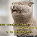 ���� ����, ������ ��� - ��������� 25 ������� 2013 � ������ �))))�