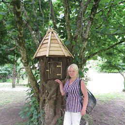 �����, �����-���������, 64 ����