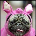 ���� �������, �����-��������� - ��������� 10 ������ 2014 � ������ ���� ����������