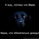 ���� �������, ����������, 31 ��� - ��������� 22 ������ 2014 � ������ ���� ����������