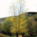 ���� �����, ������-��-����, 60 ��� - ��������� 10 ����� 2014 � ������ ���� ����������