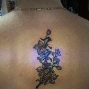 ���� ���� Beautiful, ������� - ��������� 7 ������� 2013 � ������ ���� ����������