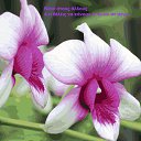 ���� Tatiana, ����������� - ��������� 5 �������� 2013 � ������ ���� ����������