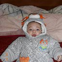 ���� �����, ���������, 36 ��� - ��������� 5 ����� 2014 � ������ ���������