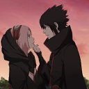  Sakura, , 28  -  25  2014