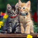  ,  -  17  2014      -2