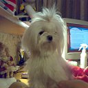 ����� ����� ���� � ���� �� ���������� ����� ������������...