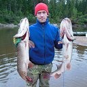 ���� ����, �����, 41 ��� - ��������� 6 �������� 2013 � ������ ���� ����������