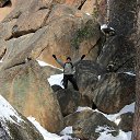 ���� �����, ������������, 46 ��� - ��������� 26 ������� 2013 � ������ ���� ����������