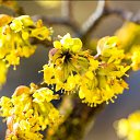 ���� ������, �����������, 67 ��� - ��������� 21 ������� 2014 � ������ �������� �������� ��������