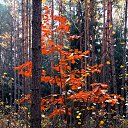 ���� �����, �����, 64 ���� - ��������� 30 ������ 2013 � ������ ��Ψ�