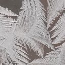 ���� ���������, ����������, 67 ��� - ��������� 7 ������ 2014 � ������ �������