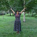  , -, 68  -  19  2013    2013