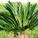 ���� �������, ������ - ��������� 19 ������� 2014 � ������ ��������˻