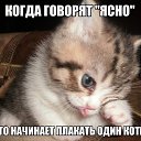 ���� ������, �����, 38 ��� - ��������� 15 ������� 2013 � ������ ������ ��������