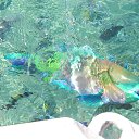 ��� ����� ����� ������� � �������
 �� ������� ������� 2014�