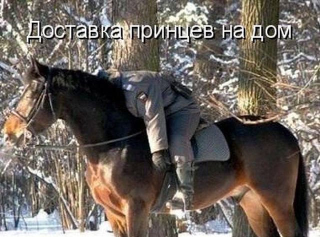  - 13  2014  12:59