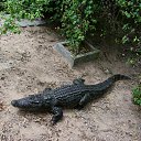 ���� ��������, ������ ��������, 61 ��� - ��������� 21 ������ 2013 � ������ ��������