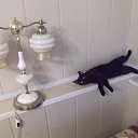 ���� ������, ������������ - ��������� 3 ����� 2014 � ������ ���� ����������