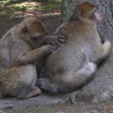 ���� �������, ����������� - ��������� 3 ������ 2013 � ������ ���� ������ �������� (��������, �������)�