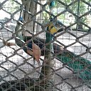 ���� Yulya, �����, 40 ��� - ��������� 22 ������� 2013 � ������ �������� 2013�