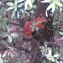 ���� �����, �������� - ��������� 7 ������� 2013 � ������ ���� ����