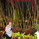 ���� ..����_,����.tatiana, ������� - ��������� 3 ����� 2014 � ������ �Flower show 1 mart.2014.�