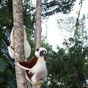 ���� �������, �����-���������, 45 ��� - ��������� 12 ������ 2013 � ������ ���� ����������