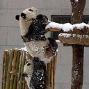 -,  ?!..., ?     ...