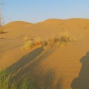 ���� �����, �������, 68 ��� - ��������� 29 ������ 2013 � ������ ���������