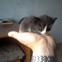 ���� ����, �����������, 50 ��� - ��������� 9 ������ 2013 � ������ ���� ����������