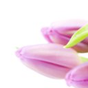 ���� �����, ���� - ��������� 9 ����� 2014 � ������ ���� ����������