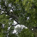 ���� ������, ��������, 50 ��� - ��������� 3 �������� 2013 � ������ ���� ����������