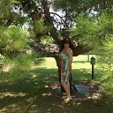 ���� �����, ��������, 50 ��� - ��������� 26 ������� 2013 � ������ ���� ����������