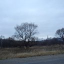 ���� �������, ����������� - ��������� 15 ������ 2013 � ������ ���� �������ɻ