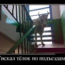 ���� ������, ����� �������, 42 ���� - ��������� 30 ������ 2014 � ������ ���� ����������