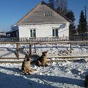  Yestylyubimaya...,  -  31  2014    