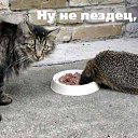 ���� ���� ���������, ������, 39 ��� - ��������� 18 ������ 2014 � ������ ���� ����������