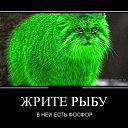 ���� ������ ���������, ������, 63 ���� - ��������� 27 ������� 2013 � ������ �������