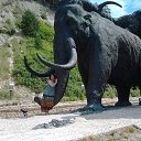 ���� �����, ��������, 42 ���� - ��������� 3 �������� 2013 � ������ ���� ����������