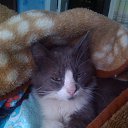 ���� �������, ������-��-����, 53 ���� - ��������� 26 ������ 2014