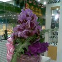 ���� �������, ������, 76 ��� - ��������� 17 ������� 2013 � ������ ������ ��������